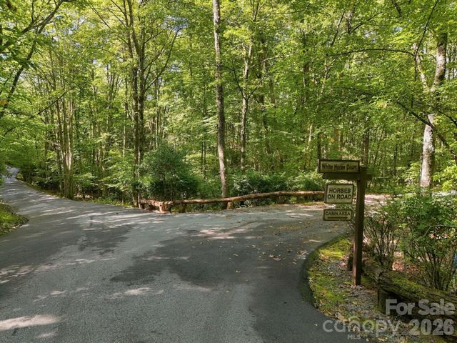 2619 Trays Island Road, Sapphire, NC 28774