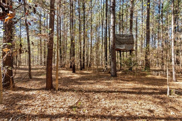 170 Mill Branch Road, Orangeburg, SC 29118