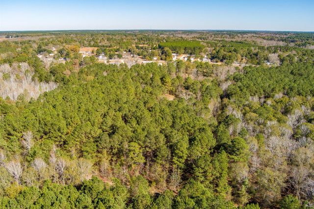 170 Mill Branch Road, Orangeburg, SC 29118