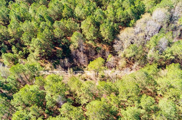 170 Mill Branch Road, Orangeburg, SC 29118