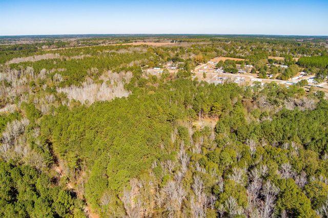 170 Mill Branch Road, Orangeburg, SC 29118