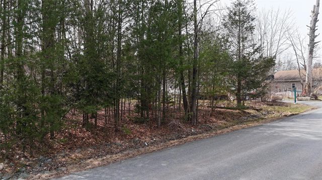 Maple Avenue, Loch Sheldrake, NY 12779