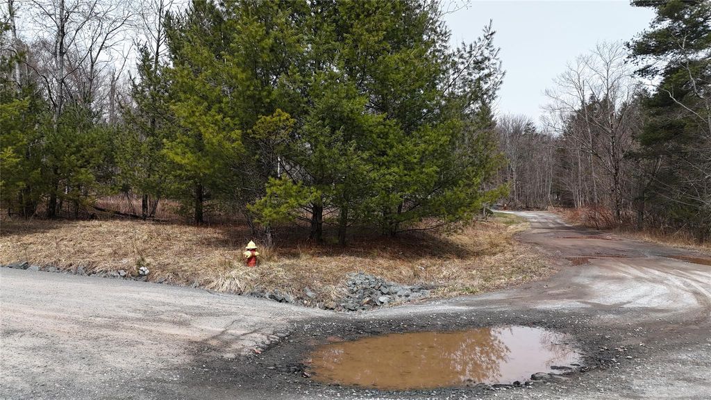 Maple Avenue, Loch Sheldrake, NY 12779