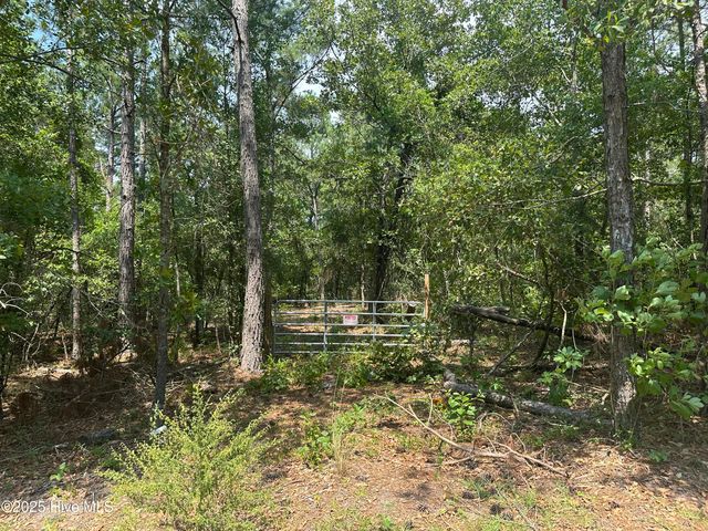 718 Green Lake Road, Ellerbe, NC 28338