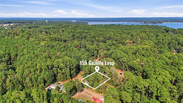 159 Gazelle Loop, Onalaska, TX 77360