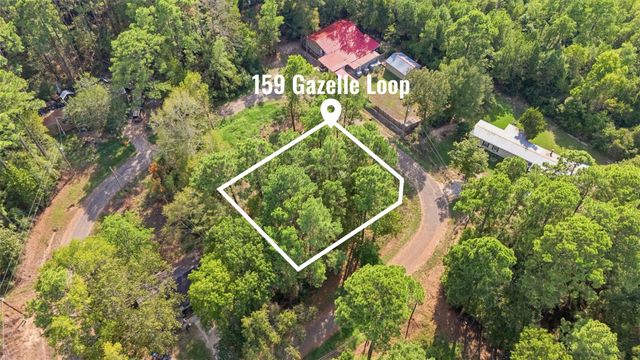 159 Gazelle Loop, Onalaska, TX 77360
