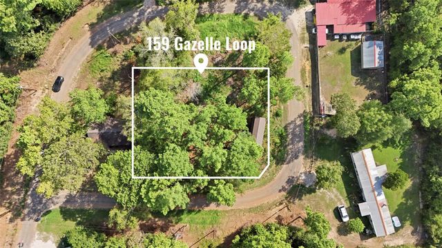 159 Gazelle Loop, Onalaska, TX 77360