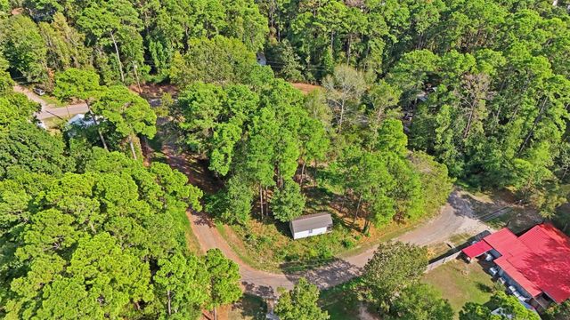 159 Gazelle Loop, Onalaska, TX 77360