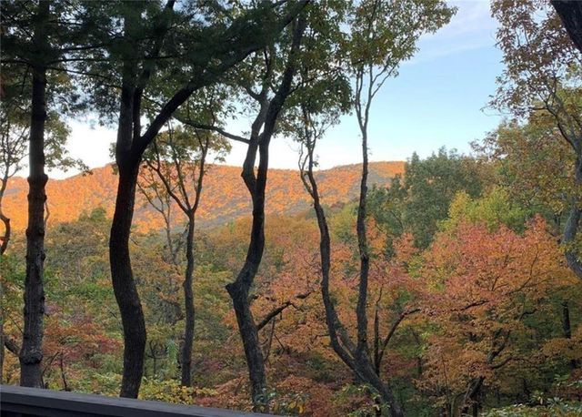 288 Tea Berry Lane, Jasper, GA 30143