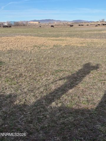 3280 Lone Tree Road, Fallon, NV 89406