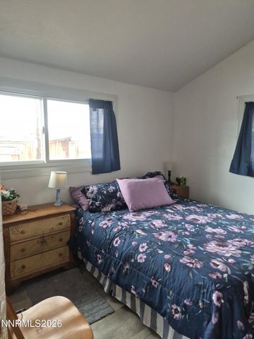 3280 Lone Tree Road, Fallon, NV 89406
