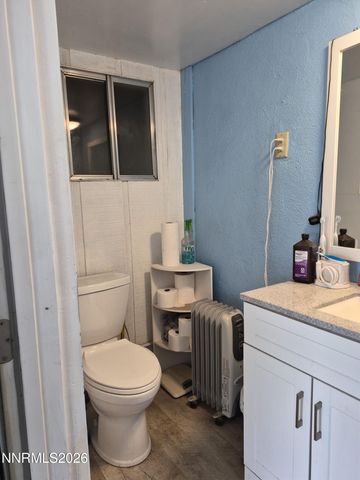 3280 Lone Tree Road, Fallon, NV 89406