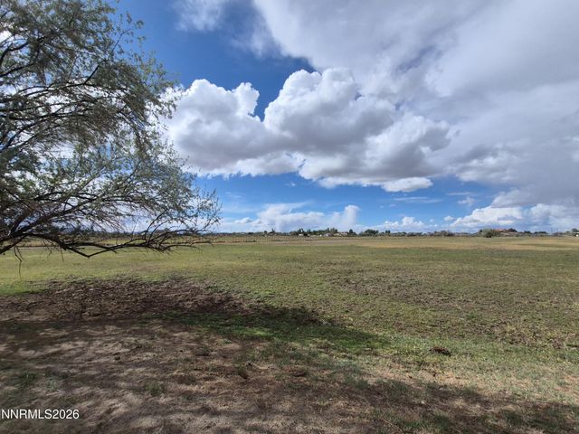 3280 Lone Tree Road, Fallon, NV 89406