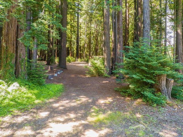 6790 Bonny Doon Road, Santa Cruz, CA 95060