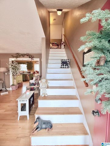 305 2ND AVENUE, Piedmont, AL 36272