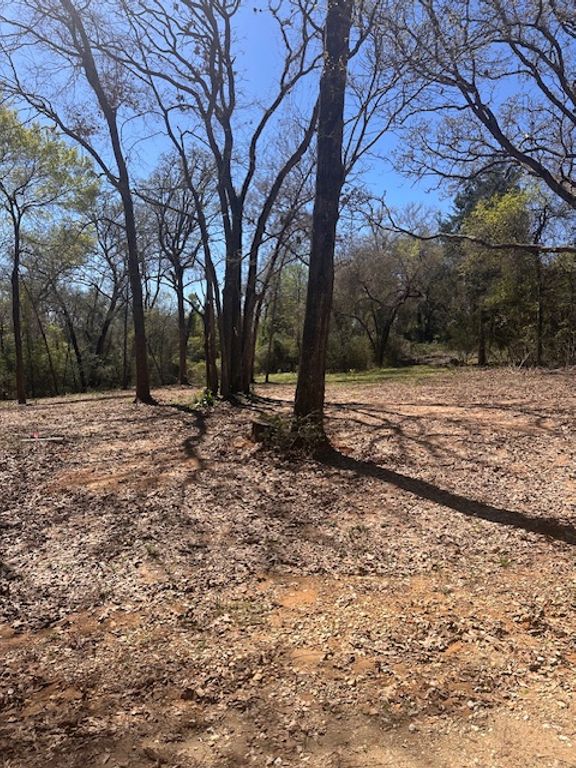 4 Lakeview Circle, Hilltop Lakes, TX 77871 — exterior