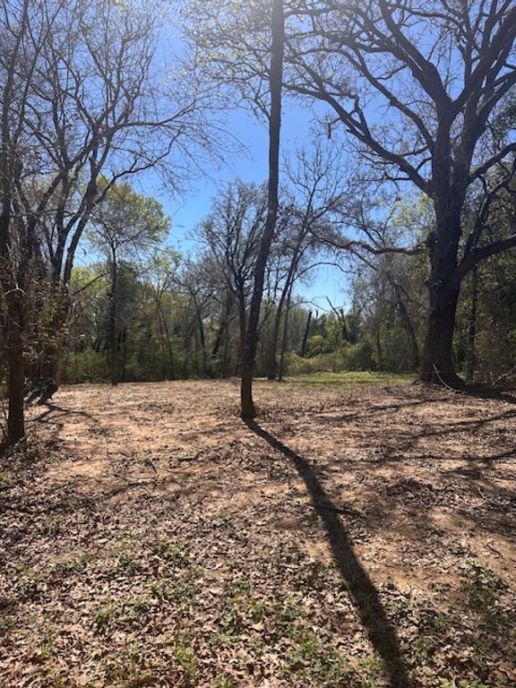 4 Lakeview Circle, Hilltop Lakes, TX 77871 — photo 4