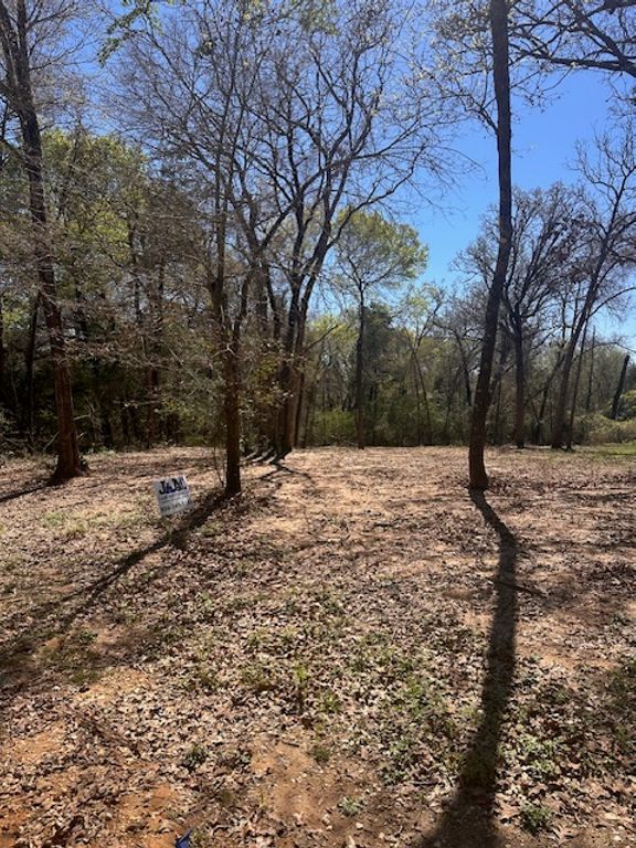 4 Lakeview Circle, Hilltop Lakes, TX 77871 — photo 5