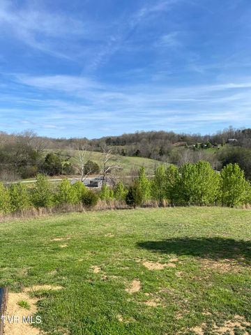 1885 Snake Hollow Road, Greeneville, TN 37743