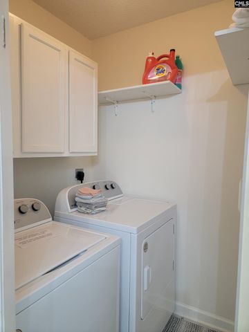156 Firebridge Drive, Chapin, SC 29036