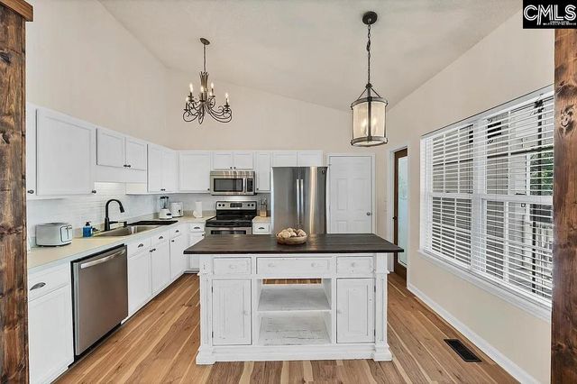 156 Firebridge Drive, Chapin, SC 29036