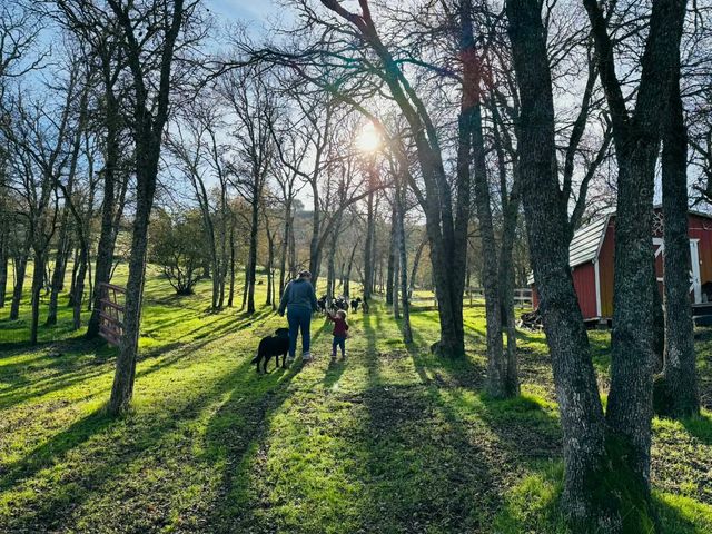 13654 Camanche Pkwy, Burson, CA 95225