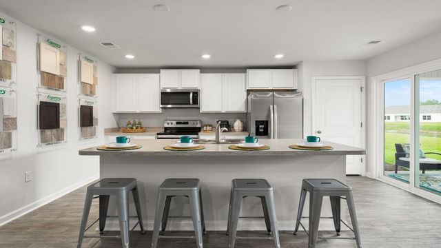 621 Strawberry Field Way, Galivants Ferry, SC 29544