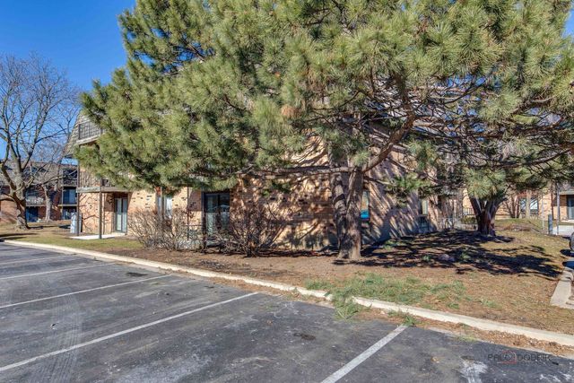 9 Oak Creek Drive 1903, Buffalo Grove, IL 60089