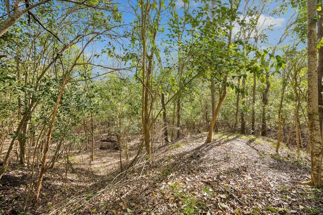 10222 Old Stagecoach Road, Chappell Hill, TX 77426