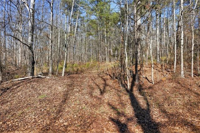 0 Pickett Bridge Road, Covington, GA 30016