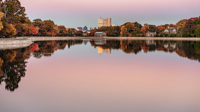 487 Boylston St. 3, Brookline, MA 02445