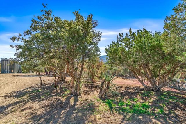 63436 Pozo Drive, Mountain Center, CA 92561