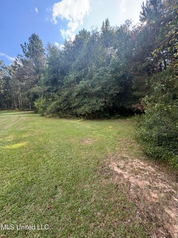 Cottage Lane Lane, Carriere, MS 39426