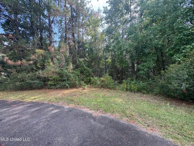 Cottage Lane Lane, Carriere, MS 39426
