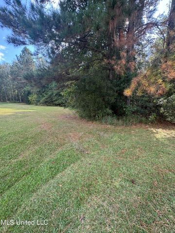 Cottage Lane Lane, Carriere, MS 39426
