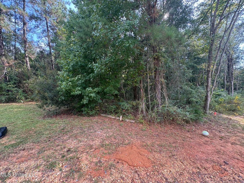 Cottage Lane Lane, Carriere, MS 39426