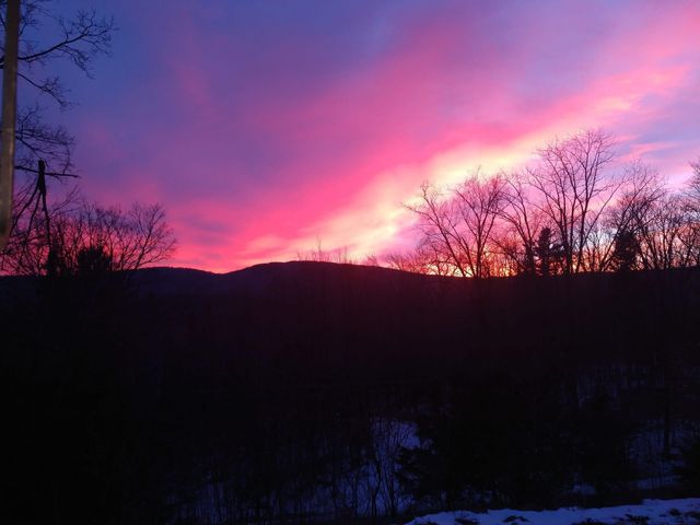 769 Straight Road, Mount Holly, VT 05730