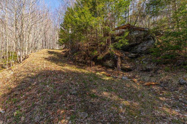 769 Straight Road, Mount Holly, VT 05730
