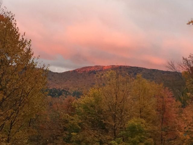 769 Straight Road, Mount Holly, VT 05730