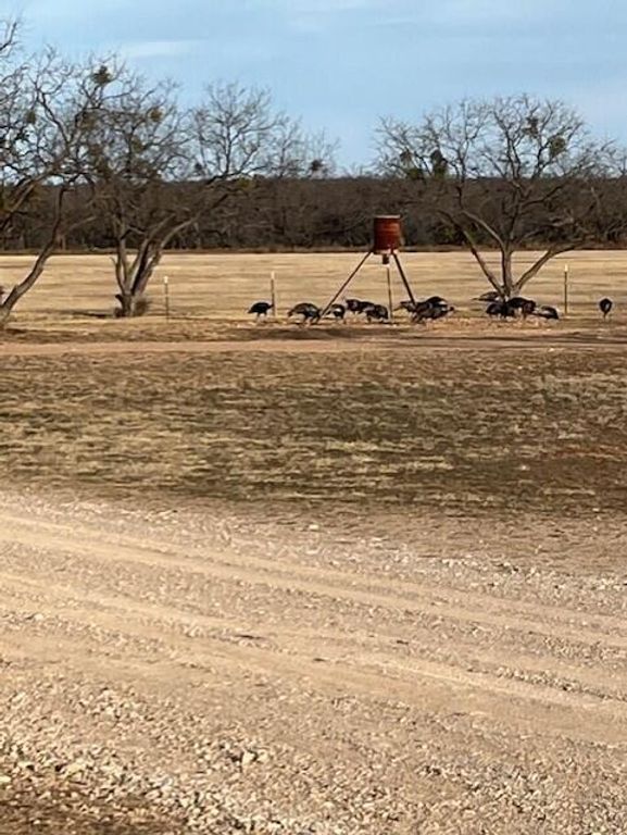 Image 45 of property listing at 629 Co Rd 356, Ballinger, TX 76821