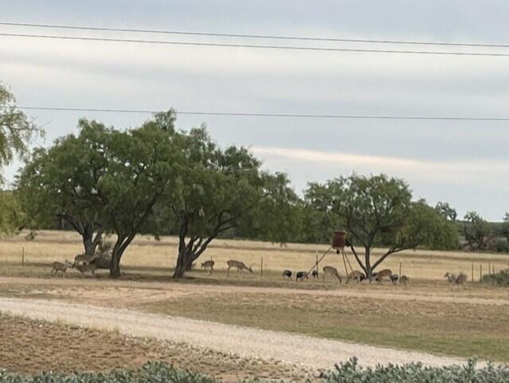 Image 47 of property listing at 629 Co Rd 356, Ballinger, TX 76821