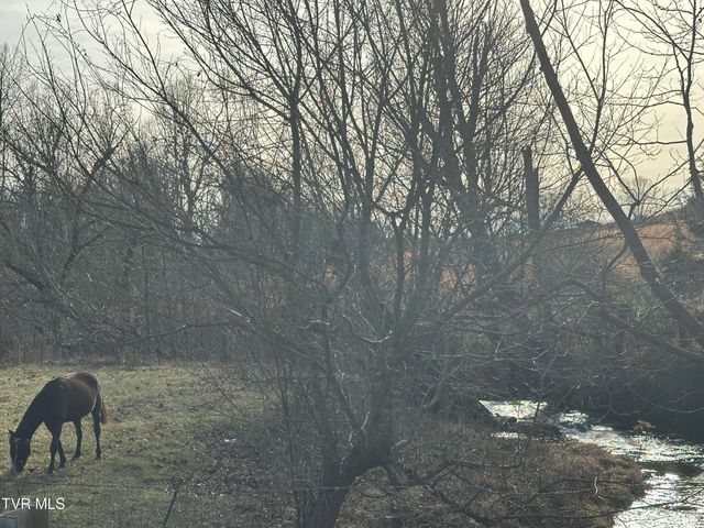 1321 Kendrick Creek Road, Kingsport, TN 37663