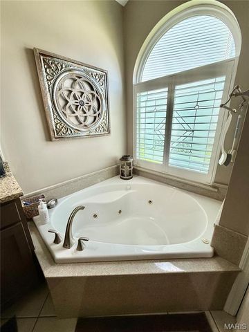 818 Summit Glen Court, Fenton, MO 63026