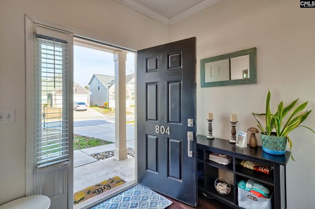 804 Burnview Lane, Chapin, SC 29036