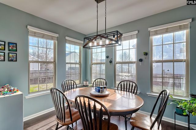 804 Burnview Lane, Chapin, SC 29036