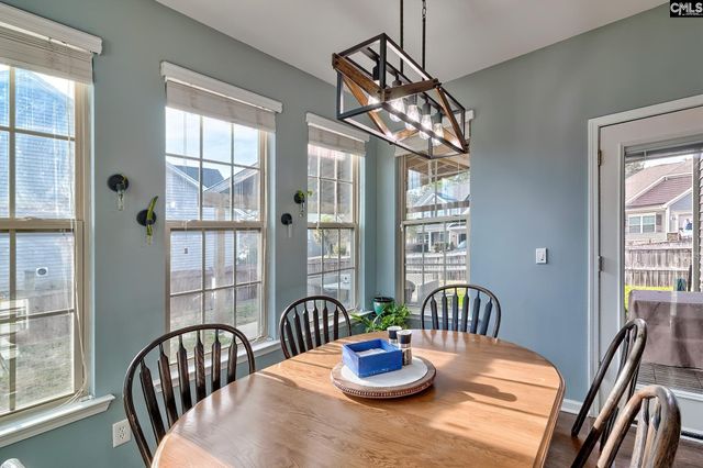 804 Burnview Lane, Chapin, SC 29036