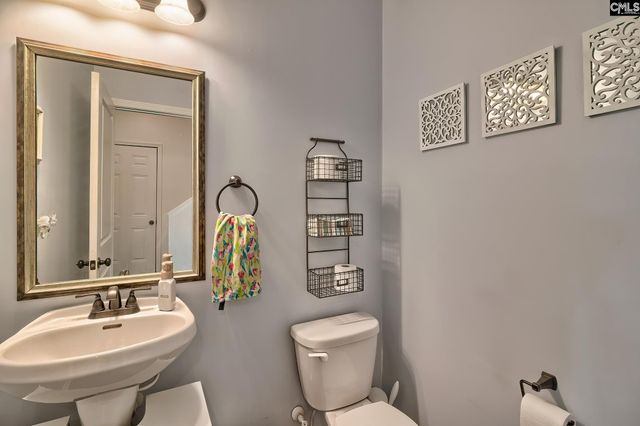 804 Burnview Lane, Chapin, SC 29036