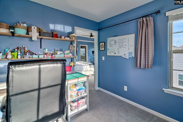 804 Burnview Lane, Chapin, SC 29036