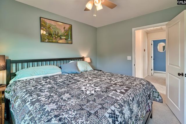 804 Burnview Lane, Chapin, SC 29036