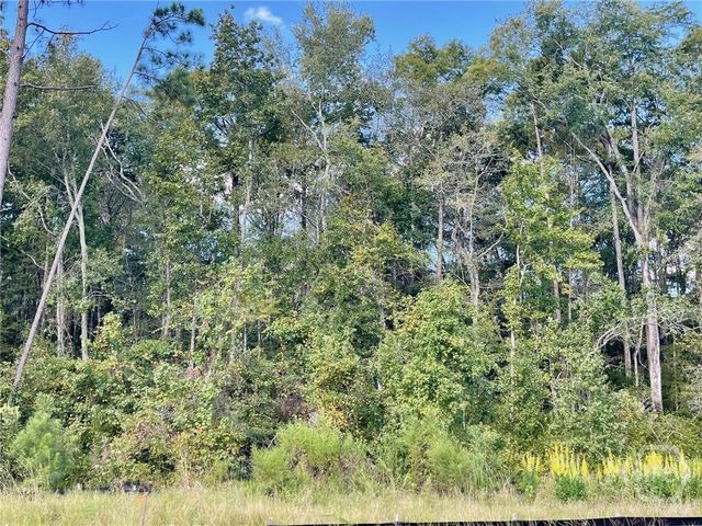 234 Bircholt Grove, Pooler, GA 31322